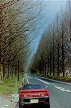 何枚かの古い写真
