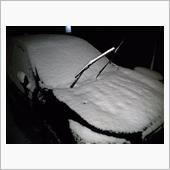 また降った～⛄