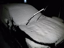 また降った～⛄