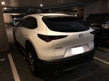 洗車フルコース