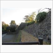 兵どもの夢の跡　　大分県　日 ...