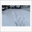 シーズン初雪がこれか！