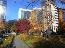 紅葉