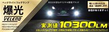 当たるはずがない・・・・