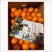 早速届いた返礼品の🍊有田み ...
