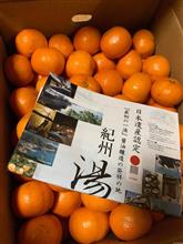 早速届いた返礼品の🍊有田みかん😆