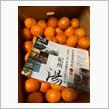 早速届いた返礼品の🍊有田みかん😆