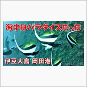 【水中撮影】遠投カゴにカメラ ...