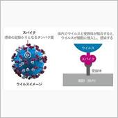 今度のお正月は色々特別
