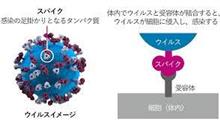 今度のお正月は色々特別