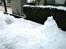 ３年ぶりの雪遊び
