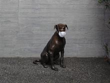 週末は家でゴロゴロ 週末は家でゴロゴロ