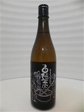 今日のお酒　白隠正宗