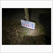 キャンプ山の家