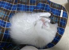 きょうもさむいな。 きょうもさむいな。