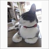 相性って大事やん？
