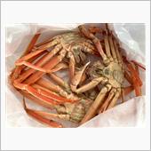 日本海から松葉ガニ🦀