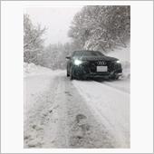 Quattro snow d ...