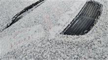 初雪！！！！！！