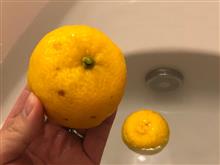 ゆず湯に入ったよ