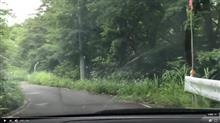 #7 酷道 401号 狭い、見えない、ガタガタ