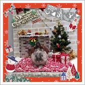 ✨🎄Merry Merry ...