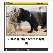 「海未ちゃんグッズが届いたず ...