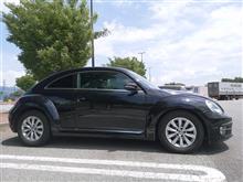 意外と積める、TheBeetle