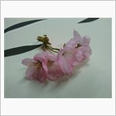 桜なんてサクッと切り上げて先 ...