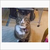 休み、１日目。