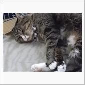今日は、平日、、所用を。