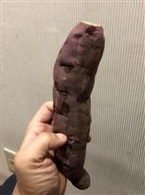 背中・肩・・・