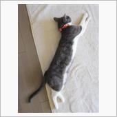 すきま風