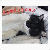 2020年もぉ終わり。