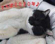 2020年もぉ終わり。