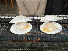 年末 木更津港 2020年12月29日 海鮮茶屋 活き活き亭 ハマグリ 蛤 浜焼き 千葉県