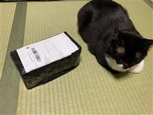 ネタいろいろ入荷中