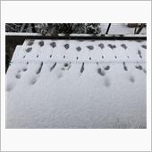 融雪散水ガードホース稼働