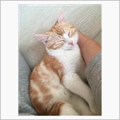 今年も終わろうとしています( ...