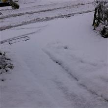 除雪第一弾😀