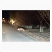 血洗島！赤城駅から埼玉深谷き ...