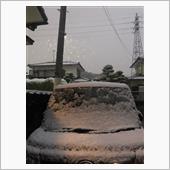 雪がー