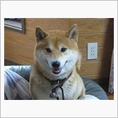 ご挨拶