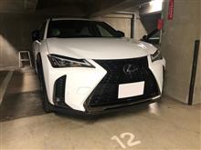 今年も終わりですね。