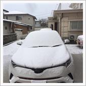 ゆきが・・・(^_-)-☆！。