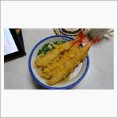 年越しうどん