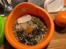 年越し蕎麦（ワンコ）
