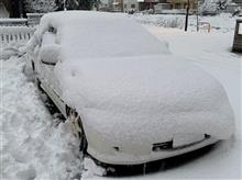 今シーズンの雪は…