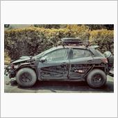 改造車の任意保険