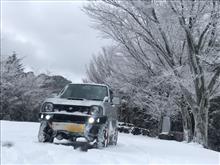 年末は雪遊び